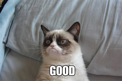 Grumpy Cat стал мемом года по версии Webby